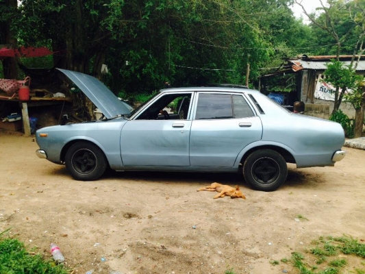 ขาย แลก datsun bluebird pj810 แม็กเพิ่งเปลียนเป็นสีเงินราคา 70000 ขาย แลก datsun bluebird pj810 แม็กเพิ่งเปลียนเป็นสีเงินราคา 70000