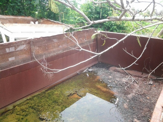 หางเทลเลอร์ดั๊ม พร้อมเล่มทะเบียน สภาพสวย