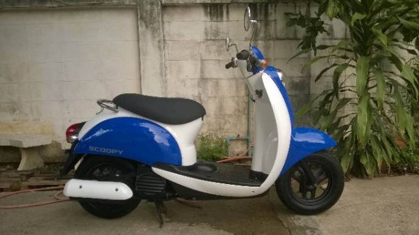 ขาย Scoopy 50 cc