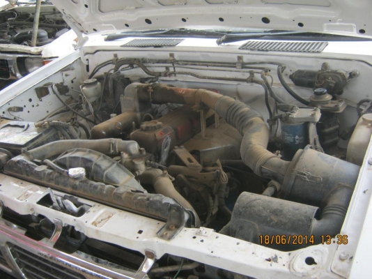 ขาย เครื่อง BD25  แดงมัน  (6 เครื่อง)