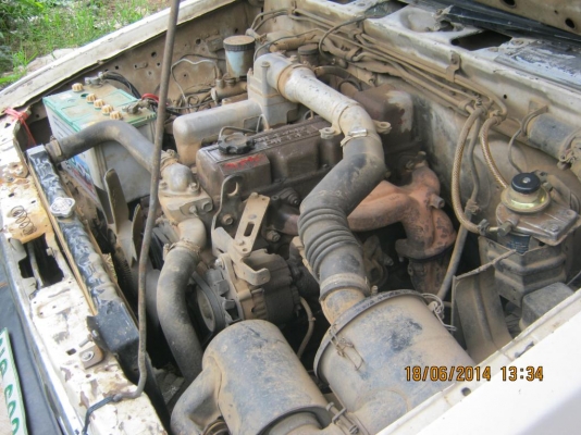 ขาย เครื่อง BD25  แดงมัน  (6 เครื่อง)