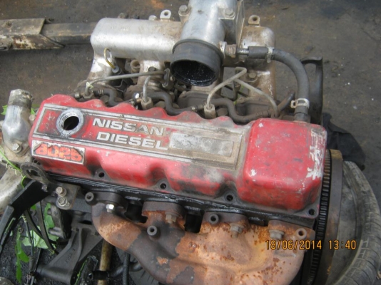 ขาย เครื่อง BD25  แดงมัน  (6 เครื่อง)