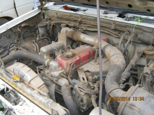 ขาย เครื่อง BD25  แดงมัน  (6 เครื่อง)