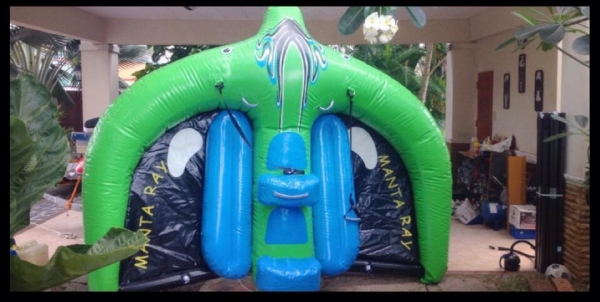 ต้องการขาย Flying Manta Ray