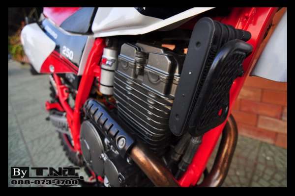 <TNT>ขาย YAMAHA  TTR 250 cc.( ENDURO ) 1สูบ ปี95 /ทะเบียนแท้/..สวยๆ>>>คับ