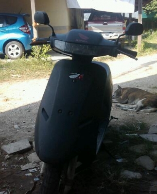 dio 2 คัน dio 2 คัน