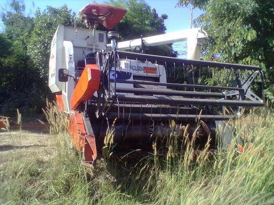 ขายด่วน  รถเกี่ยวข้าว KUBOTA  DC-95GM