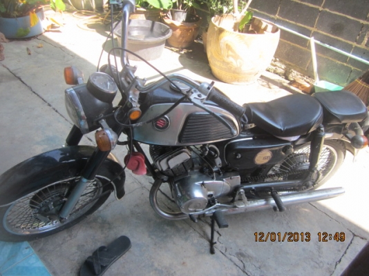 ซูซูกิ สิงหมู ซูซูกิ สิงหมู