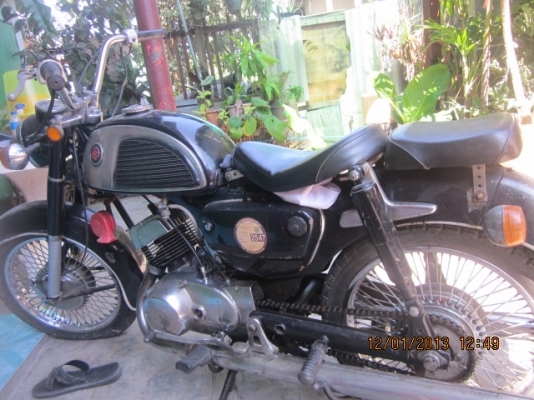 ซูซูกิ สิงหมู ซูซูกิ สิงหมู