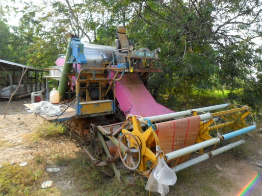 ขายตัวเดิน