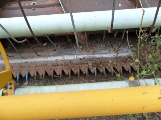 ขายตัวเดิน