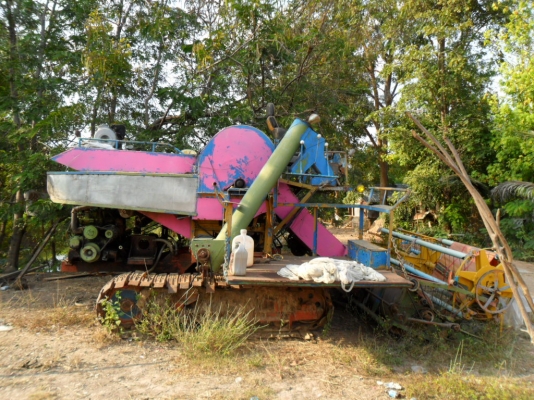 ขายตัวเดิน