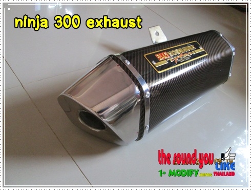 ท่อนินจา250 ninja 300 (ปิดการขาย ขายแล้วจ๊ะ)