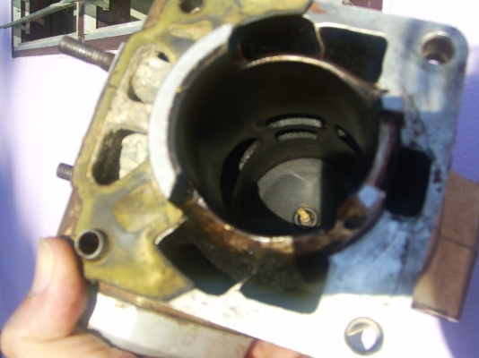 เสื้อ kr 1724