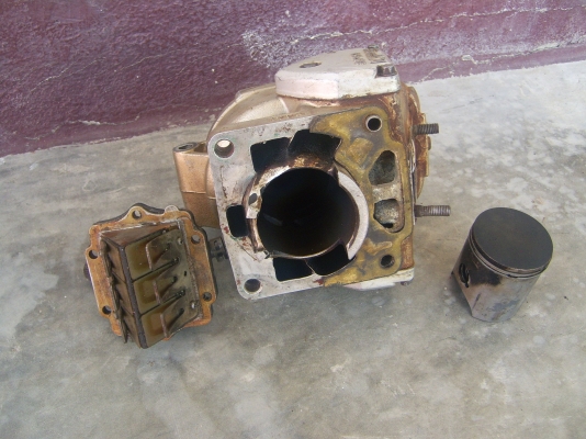 เสื้อ kr 1724