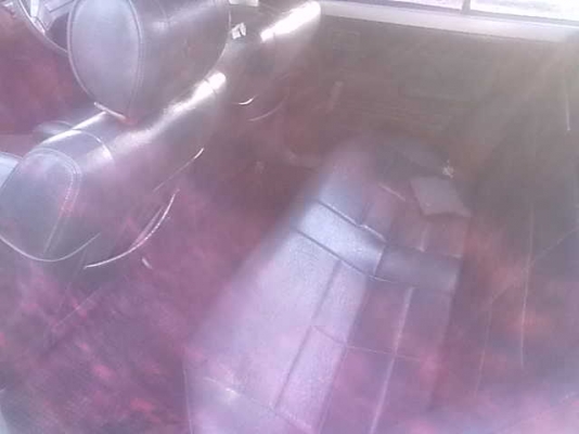 ขายซันนีff สวยๆ