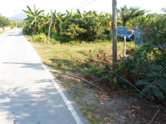 ขายที่ดินสวนลำใย8ไร่2งาน50ต.ร.ว. 950,000บาท อยู่ ต.บ้านโฮ่ง