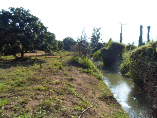 ขายที่ดินสวนลำใย8ไร่2งาน50ต.ร.ว. 950,000บาท อยู่ ต.บ้านโฮ่ง