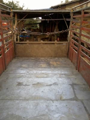 FF3HJKA 6ล้อใหญ่ยาง9.00 เครื่อง HO7D 195 แรง