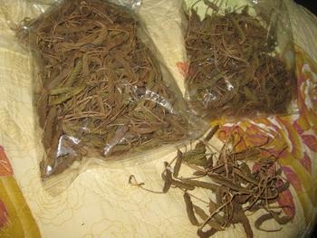 ขายสมุนไพรปอกะบิด