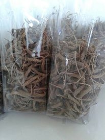 ขายสมุนไพรปอกะบิด