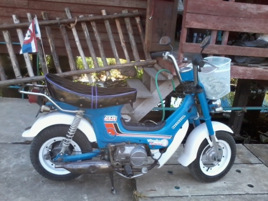 ขายชาลีถูกๆครับ ด่วนเลยครับ