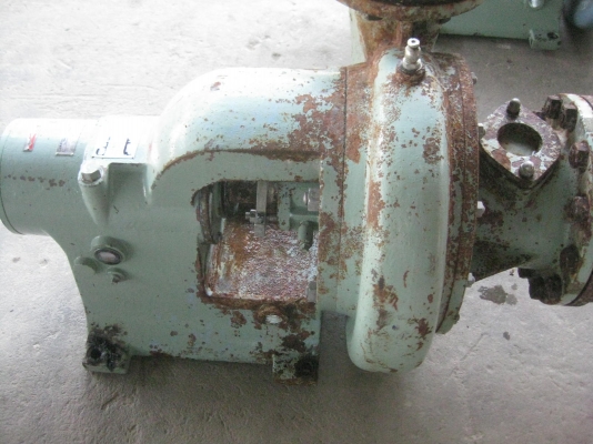 ขายปั๊มหอยโขล่ง(ปั๊มน้ำ)OTORI PAMPเก่านอก