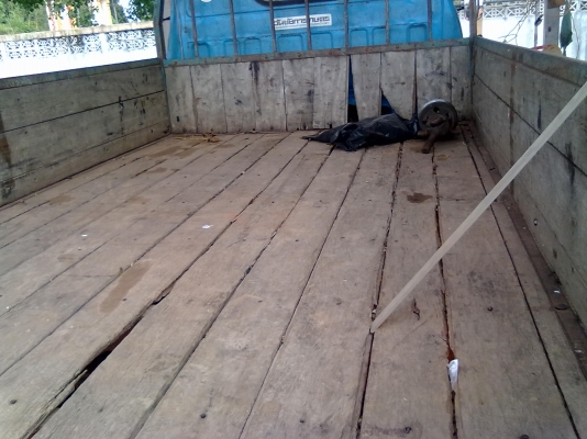 ELF 4ล้อ เครื่องอีซูซุ85 เอกสารสัญญาซื้อขาย