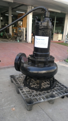 ขายปั๊มน้ำขนาดใหญ่  ท่อ10 นิ้ว