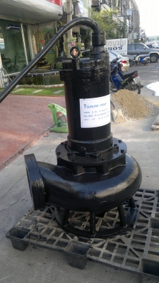 ขายปั๊มน้ำขนาดใหญ่ ท่อ10 นิ้ว ขายปั๊มน้ำขนาดใหญ่ ท่อ10 นิ้ว