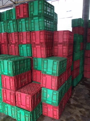 ขาย10ล้อ HiNo 260 เมกก้า สมอทอง ปี 50 รถห้าง  สภาพเยี่ยมราคาถูก