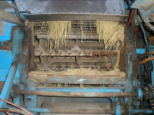 หลุดมัดจำแล้วคับ ใครสนใจติดต่อได้เลยคับ ขอคนต้องการไปใช้จริงนะคับ พวกนายหน้ามามัดจำกั๊กไว้ไม่ต้องติดต่อมา