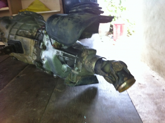 ขายแล้วครับ ขอบคุณพี่เสือ และผู้ซื้อด้วยครับ ขายแล้วครับ ขอบคุณพี่เสือ และผู้ซื้อด้วยครับ