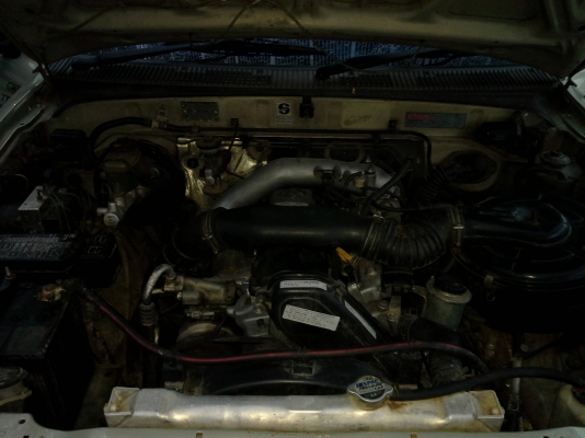 ไทเกอร์kz ไทเกอร์kz