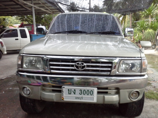 ไทเกอร์kz ไทเกอร์kz