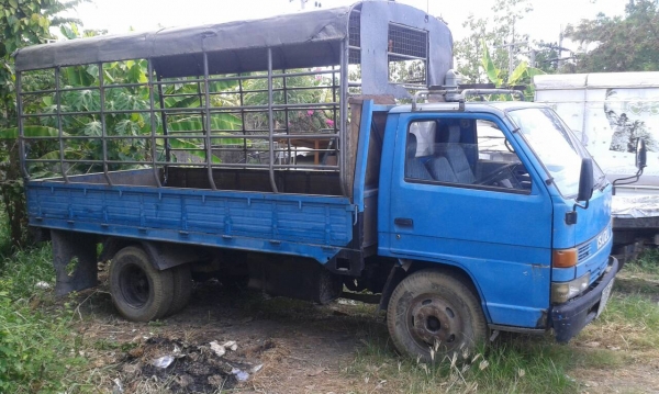 ขายด่วน บรรทุก 6 ล้อ