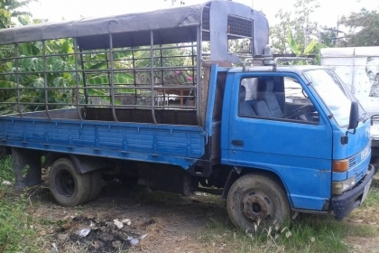 ขายด่วน บรรทุก 6 ล้อ