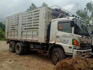 HINO MEGA 260 แรงม้า หัว500 พ่วงแม่ลูกปี 52พย.