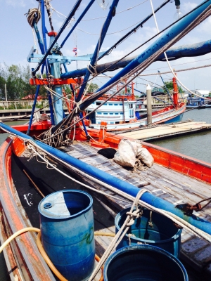 ด่วน!ขายเรือไดหมึก พร้อมอุปกรณ์และเครื่องมือ