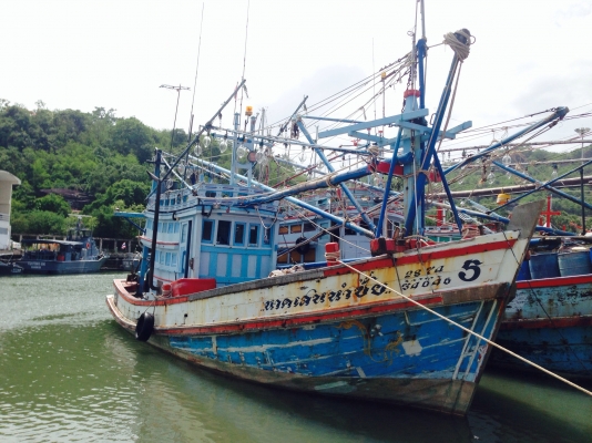ด่วน!ขายเรือไดหมึก พร้อมอุปกรณ์และเครื่องมือ ด่วน!ขายเรือไดหมึก พร้อมอุปกรณ์และเครื่องมือ