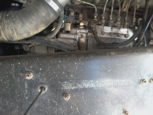 ขายเฉินหลงเทอร์โบยูโรวัน ขายเฉินหลงเทอร์โบยูโรวัน