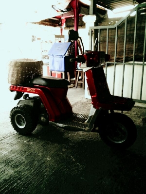 ขาย HONDA  gvro x  ราคา10500