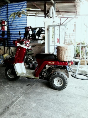 ขาย HONDA  gvro x  ราคา10500