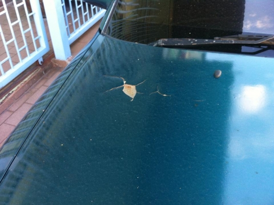 ขาย ฮุนได เอสเซ้น 3 ประตู 36000 ติดแก็ซ