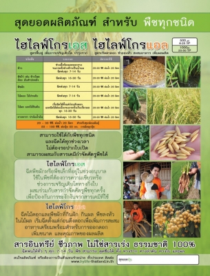 ปุ๋ยมูลค้างคาว ช่วยเพิ่มผลผลิต 3 เท่า ยืนยันแล้วจากผู้ใช้จริง ปุ๋ยมูลค้างคาว ช่วยเพิ่มผลผลิต 3 เท่า ยืนยันแล้วจากผู้ใช้จริง