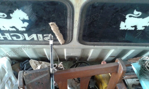 หัวเก๋ง ISUZU JCM และ หัวเก๋ง HINO FL18/FM227 ขายยกชุด 2 หัว