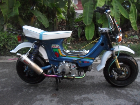 ขาย ชาลี