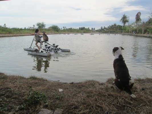 จักรยานน้ำ ดีไซน์นี้ คันเดียวในโลก