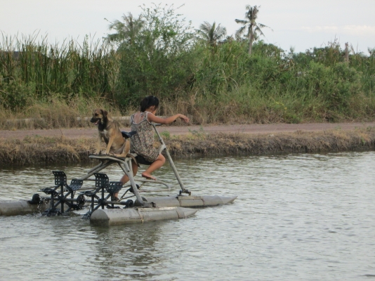 จักรยานน้ำ ดีไซน์นี้ คันเดียวในโลก