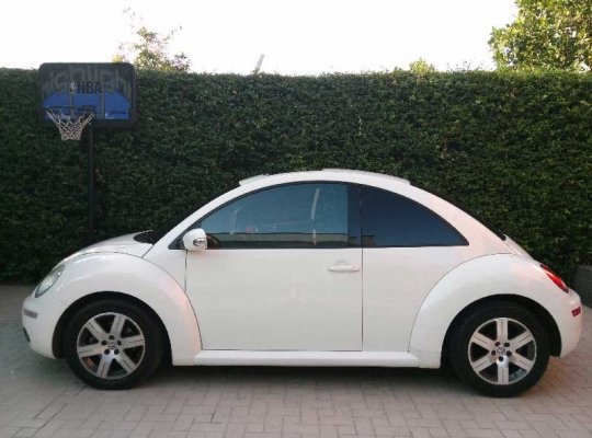 ขาย Volk Beattle 2010 สีขาว